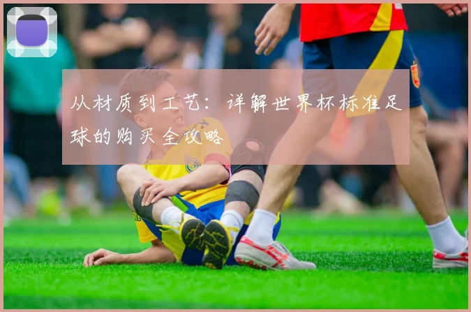 从材质到工艺：详解世界杯标准足球的购买全攻略
