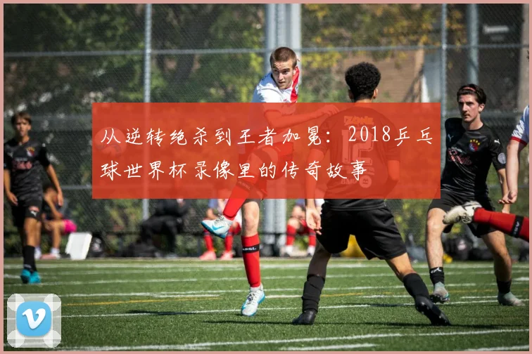 从逆转绝杀到王者加冕：2018乒乓球世界杯录像里的传奇故事