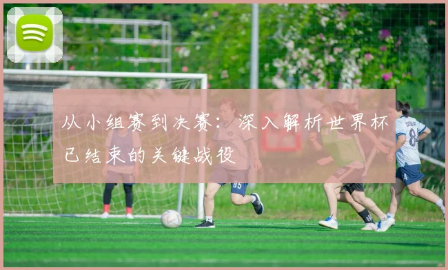 从小组赛到决赛：深入解析世界杯已结束的关键战役